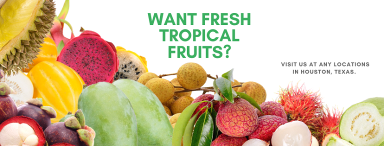 197484199 3970261466403664 2619177586667183309 n 768x292